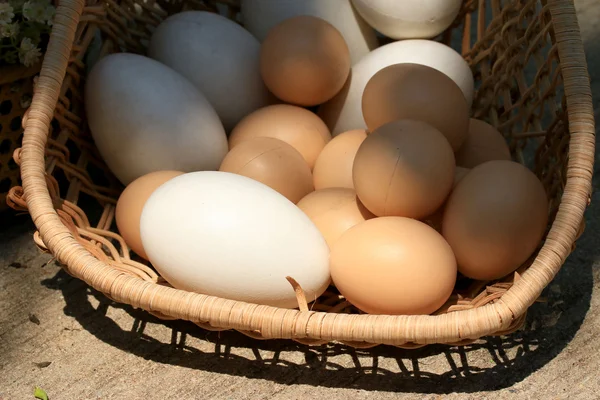 Vintage paaseieren en witte eieren — Stockfoto