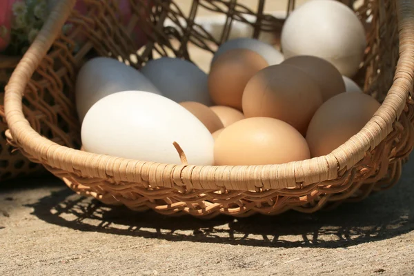 Ovos de páscoa vintage e ovos brancos — Fotografia de Stock