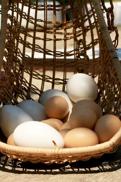 Vintage easter eggs and white eggs — Stock Photo, Image