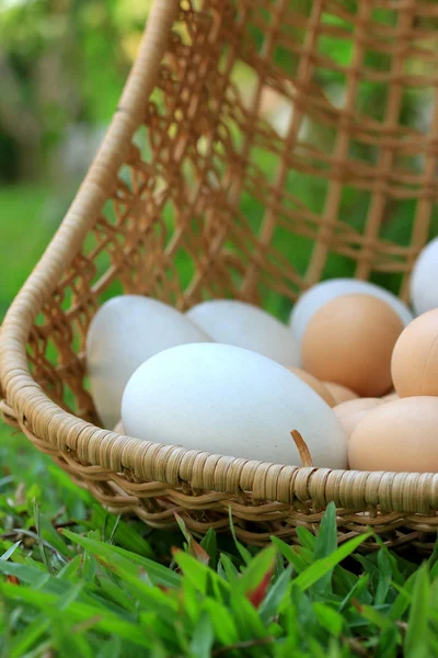 Vintage easter eggs and white eggs — Stock Photo, Image