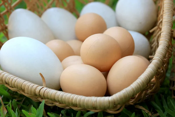 Vintage paaseieren en witte eieren — Stockfoto
