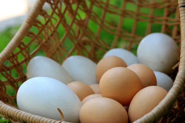 Vintage-Ostereier und weiße Eier — Stockfoto
