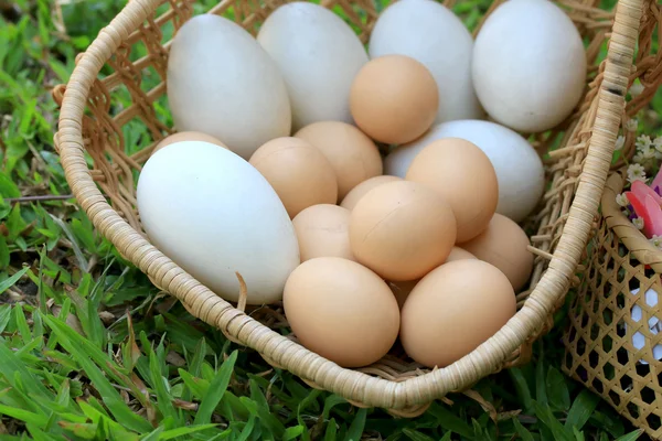 Huevos de Pascua vintage y huevos blancos — Foto de Stock
