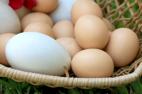 Vintage easter eggs and white eggs — Stock Photo, Image