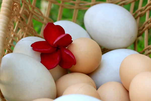 Vintage easter eggs and white eggs — Stock Photo, Image