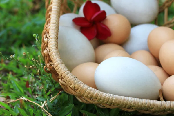 Vintage easter eggs and white eggs — Stock Photo, Image