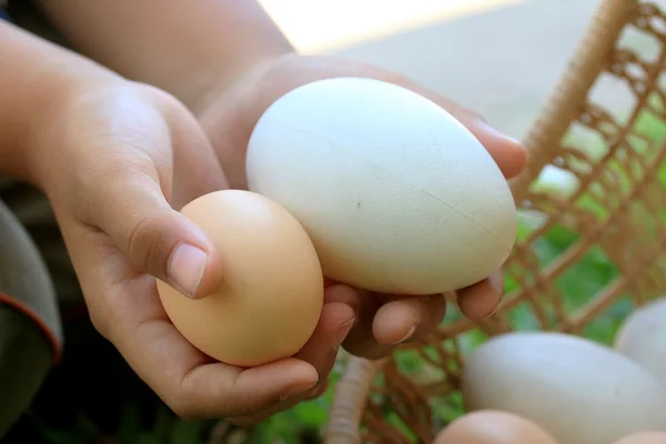 Vintage påskägg och vita ägg — Stockfoto