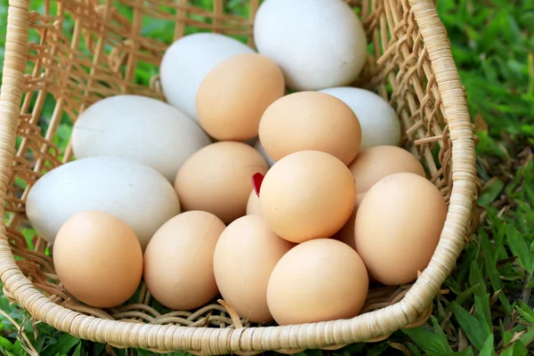 Huevos de Pascua vintage y huevos blancos — Foto de Stock