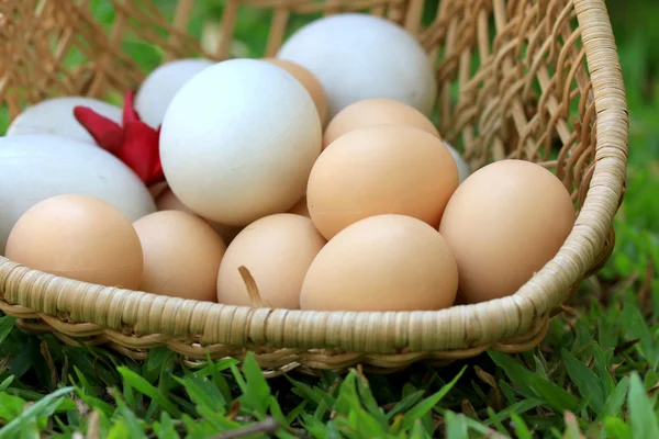 Huevos de Pascua vintage y huevos blancos — Foto de Stock