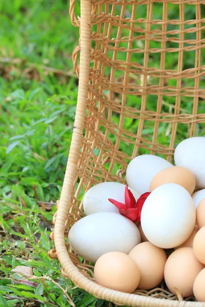 Vintage easter eggs and white eggs — Stock Photo, Image