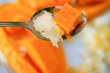 Olgun mango ve Hindistan cevizi sütü ile yapışkan pirinç