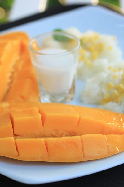 Mogen mango och klibbigt ris med kokosmjölk — Stockfoto