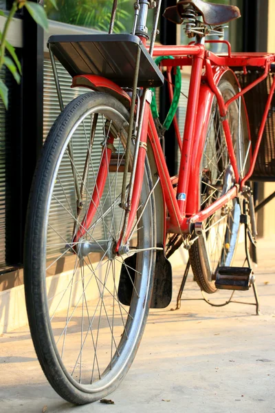 Vintage vélo . — Photo