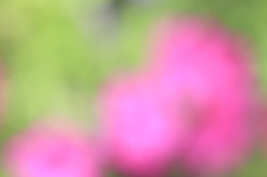 bulanık renkli arka plan doku