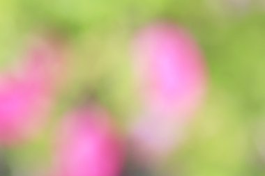 bulanık renkli arka plan doku