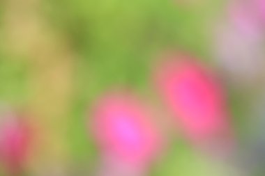 bulanık renkli arka plan doku