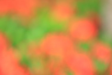 bulanık renkli arka plan doku