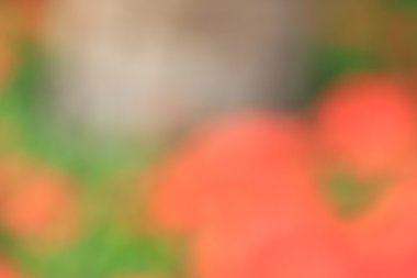 bulanık renkli arka plan doku