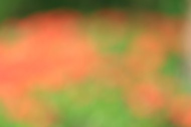 bulanık renkli arka plan doku