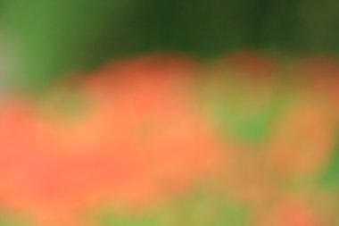 bulanık renkli arka plan doku