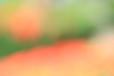 bulanık renkli arka plan doku