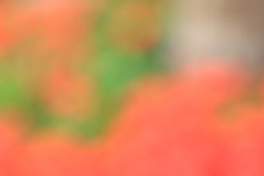 bulanık renkli arka plan doku