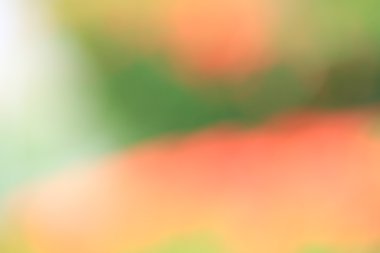 bulanık renkli arka plan doku