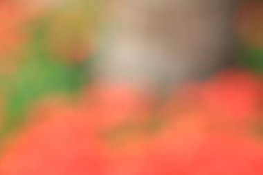 bulanık renkli arka plan doku