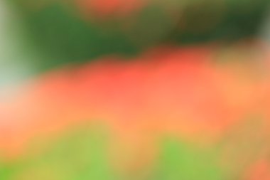 bulanık renkli arka plan doku