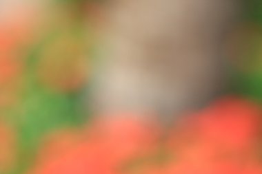 bulanık renkli arka plan doku