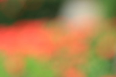 bulanık renkli arka plan doku