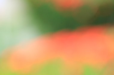 bulanık renkli arka plan doku