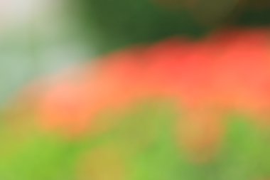 bulanık renkli arka plan doku