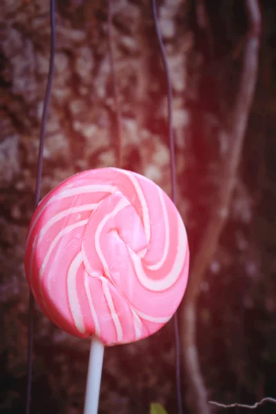 Γλυκιά καραμέλα ροζ — Φωτογραφία Αρχείου