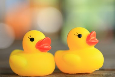 Sarı plastik ördek