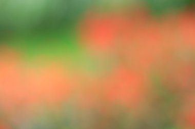 Bulanık çiçek arka plan