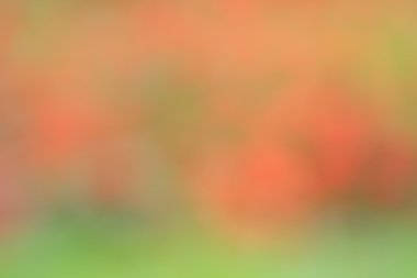 Vintage renkli arka plan