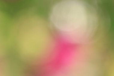 Vintage renkli arka plan