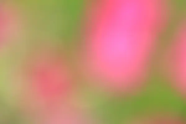 Verschwommener Blumenhintergrund — Stockfoto