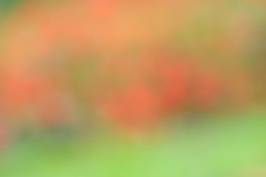 Vintage renkli arka plan