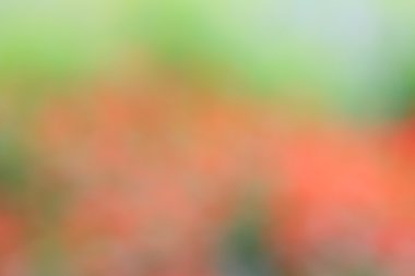 Vintage renkli arka plan