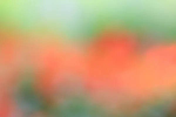 Урожай барвистий фон — стокове фото