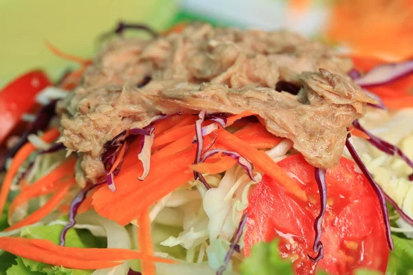 Salada de atum em molho de alface e creme — Fotografia de Stock