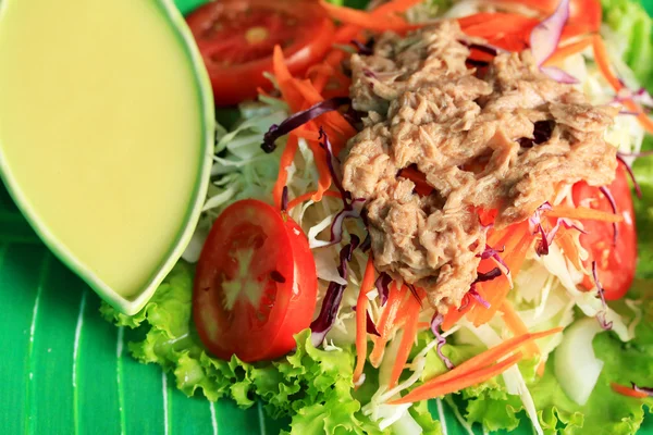 Thunfischsalat auf Salat und Sahnesoße — Stockfoto