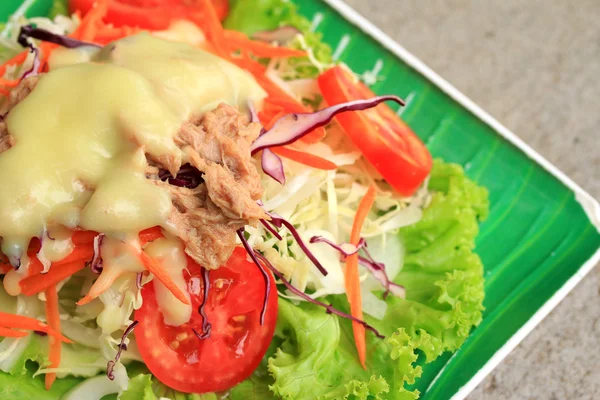 Thunfischsalat auf Salat und Sahnesoße — Stockfoto