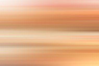 Domuz pirzolası, kızarmış patates salatası ile