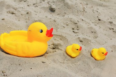 Sarı plastik ördek