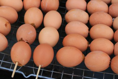 soba üzerinde ızgara tavuk yumurta.