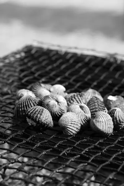 Herzmuscheln auf dem Grill. — Stockfoto