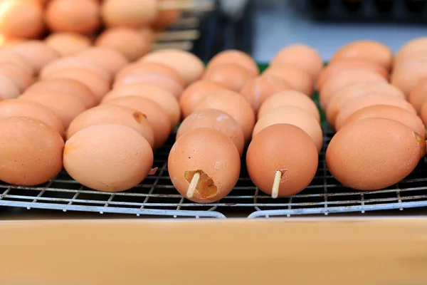 Gegrilde kippeneieren op het fornuis. — Stockfoto